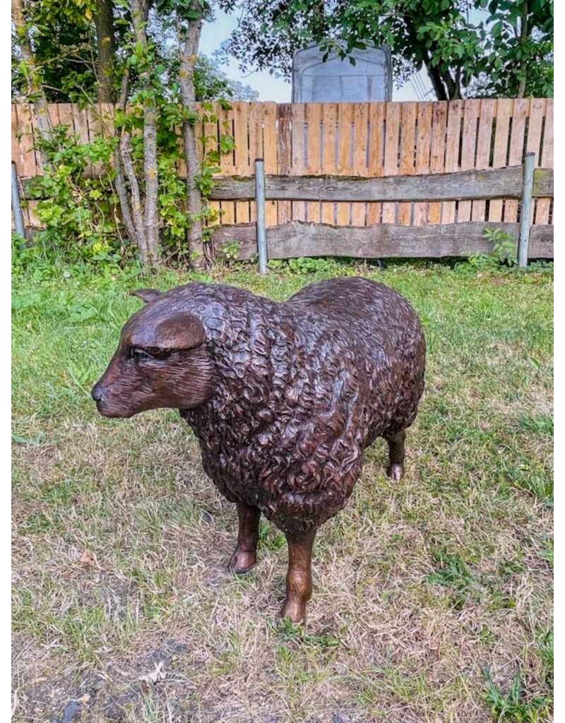 Wilma – Schaf Bronzestatue