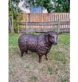 Wilma – Schaf Bronzestatue