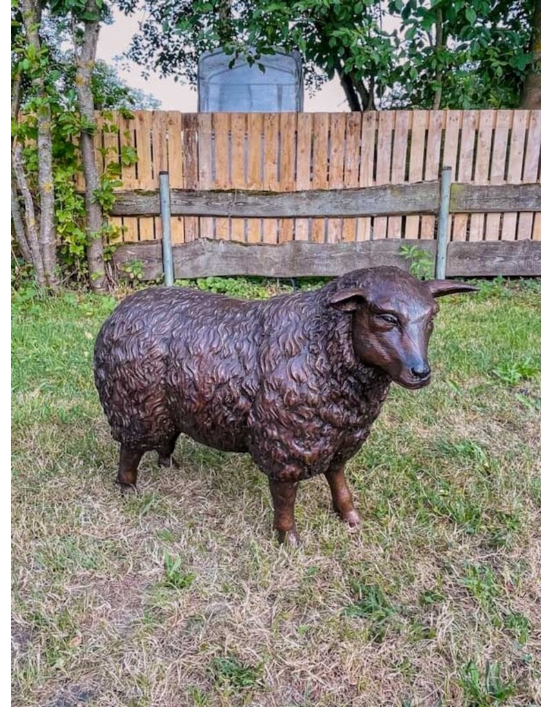 Wilma – Schaf Bronzestatue