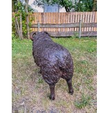 Hugo – Schafbock Bronzefigur