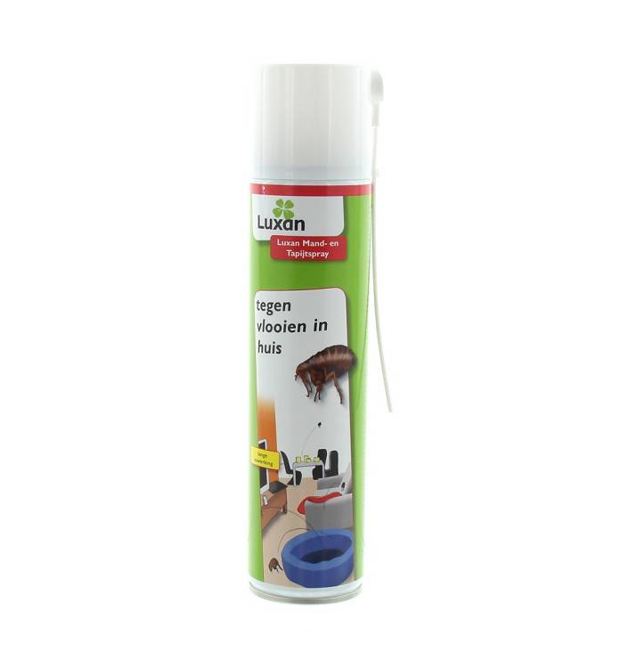 https://cdn.webshopapp.com/shops/171488/files/114743210/file.jpg