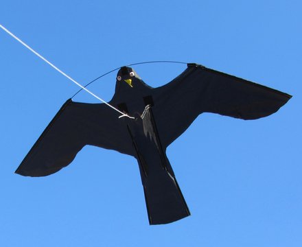 huurder bibliotheek Phalanx Bird Shield Vogelverschrikker vlieger 7 meter set - AllesTegenOngedierte.nl