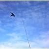 Bird-Scare Kite vlieger set 7 meter