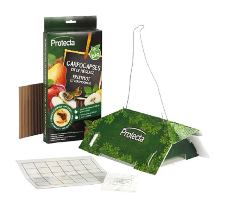 Protecta Fruitmot Kit Feromoonval AllesTegenOngedierte nl protecta-fruitmot-kit-feromoonval-allestegenongedierte-nl