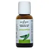 Eucalyptus - Etherische olie