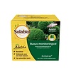 Buxatrap buxus monitoringval