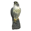 Slechtvalk vogelverschrikker