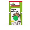 Mierenlokdoos voor in huis