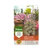 Terras & Balkon Planten Voedingskegels 10 stuks