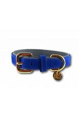 SIMPLY SMALL Leather dog collar - royal blue - SIMPLY SMALL