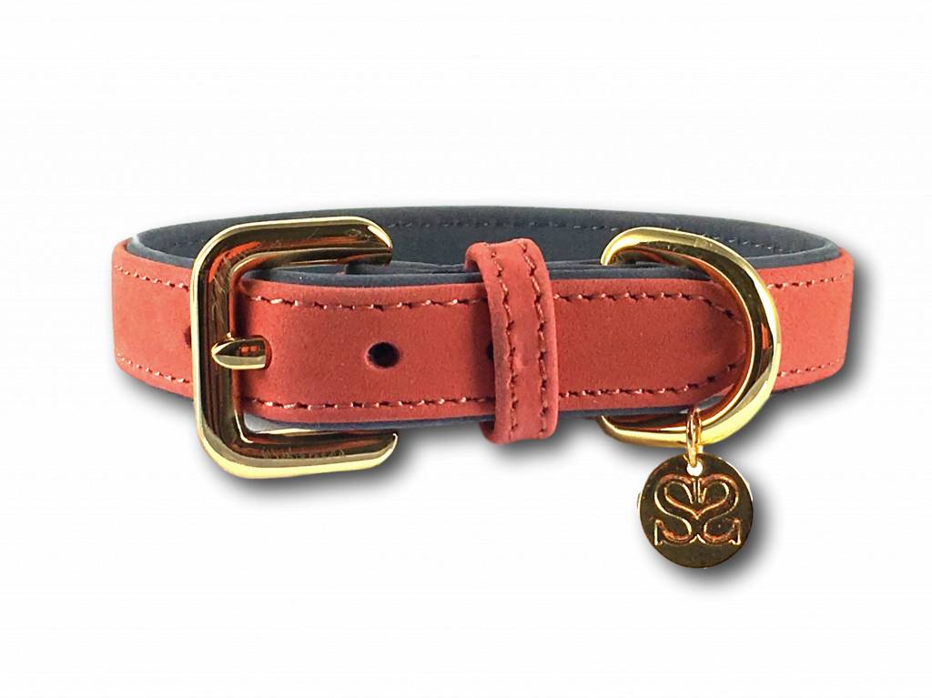 Salmon dog collar Outlet
