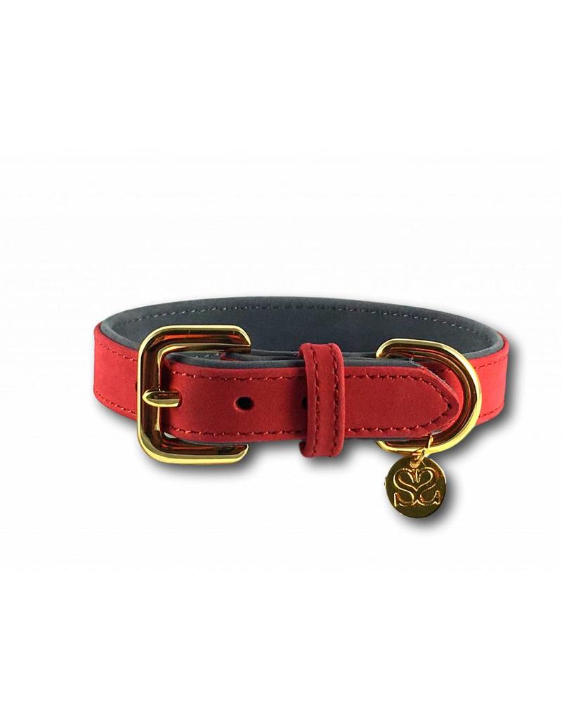 red leather dog collar