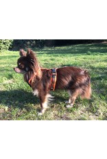 Anny X AnnyX harness for small dogs, XXS, neon orange/brown