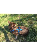 annyx dog harness