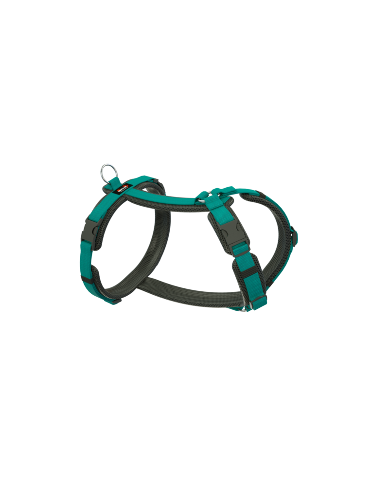 Dogfellow harness "easy" for small dogs - black/teal