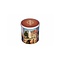 Stroopwafel World Stroopwafel blikken Nederland (doos 12 blikken)
