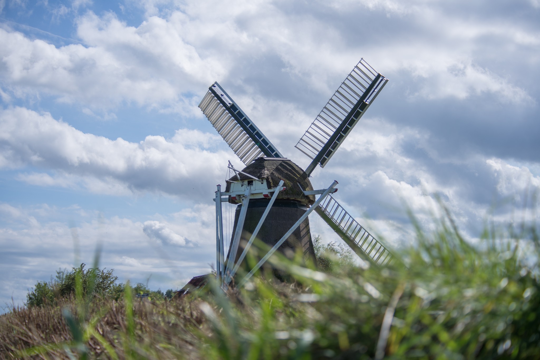 Een Delfts Blauw lekkernij (hoort erbij)!