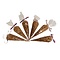 Cookie crumbs 6 packs