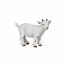 Papo Speelfiguur - Boerderijdier - Geitje - Wit