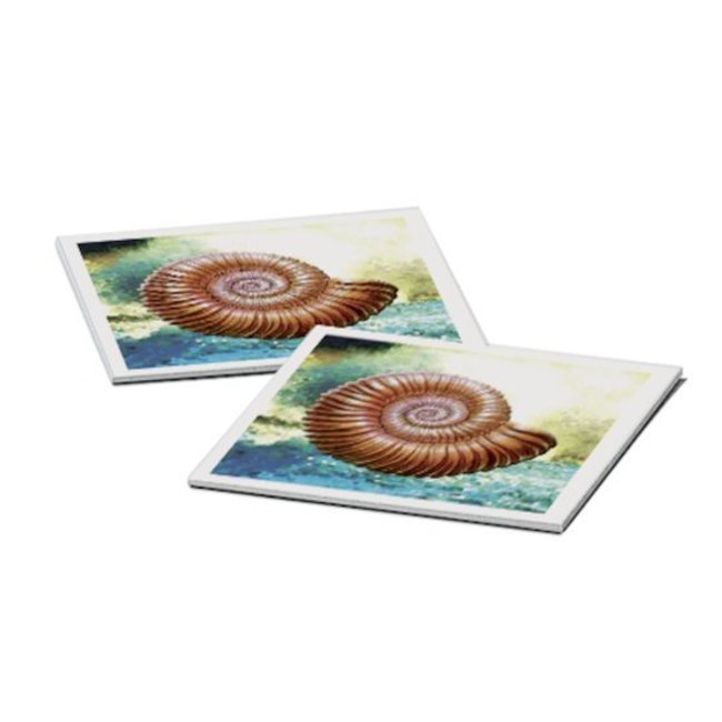 Ravensburger Spel - Memory - Dinosaurus