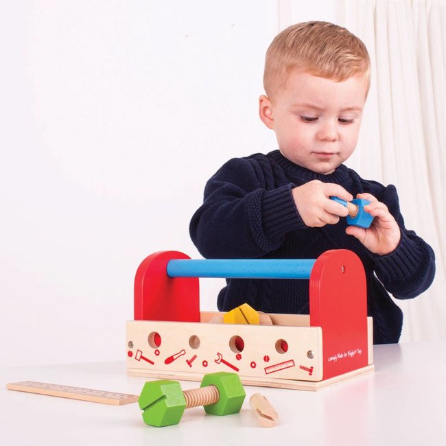 BigJigs Gereedschapskist - 12dlg.