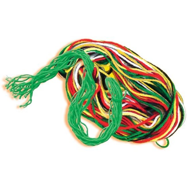 SES Ik leer borduren