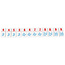 999 Games Regenwormen - Junior - Dobbelspel - 5+