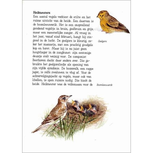 Harlekijn Boek - Bos, hei en vennen