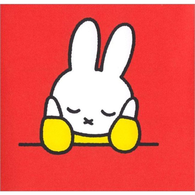 Boek - Nijntje - Een cadeau voor opa pluis