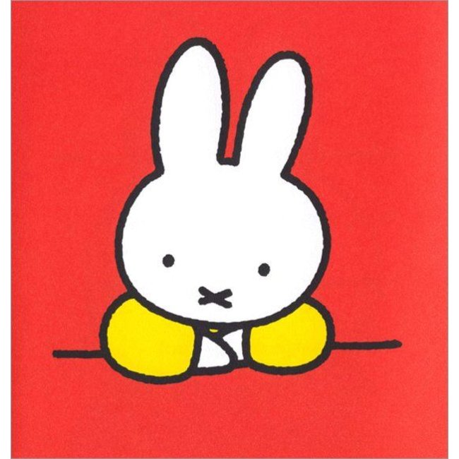 Boek - Nijntje - Een cadeau voor opa pluis