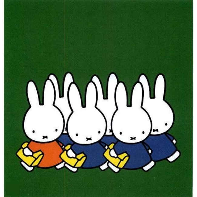 Boek - Nijntje op school