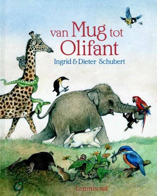 Boek - Van mug tot olifant