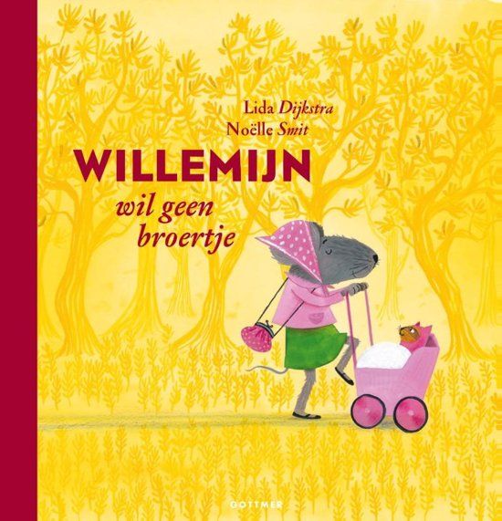 Boek - Willemijn wil geen broertje