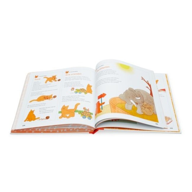 Gottmer Boek - Elke dag Dikkie Dik - 365 verhaaltjes