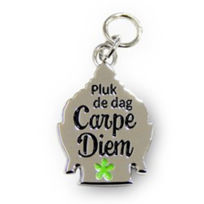 Charms for you Bedeltje - Carpe diem - Charms for you