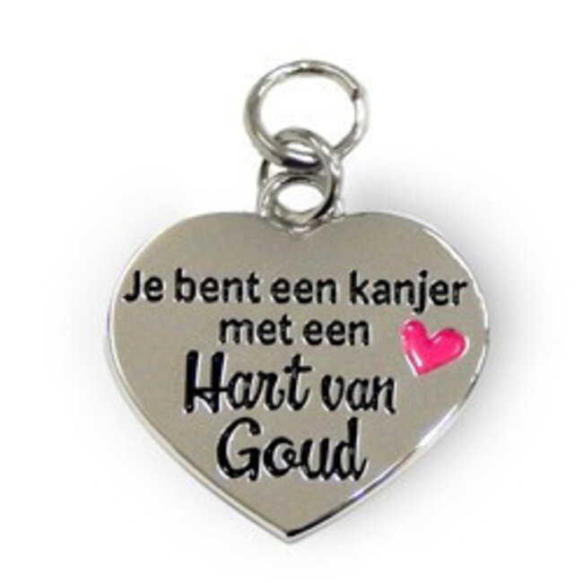 Charms for you Bedeltje - Je bent een kanjer met een hart van goud - Charms for you