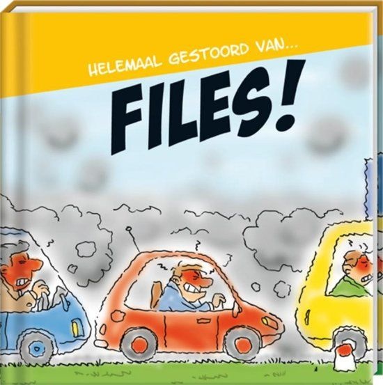 Boek - Helemaal gestoord van files!