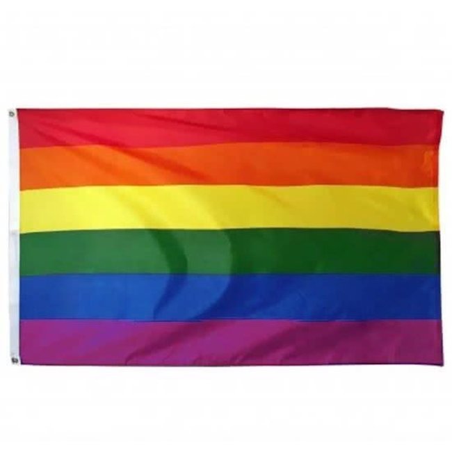 PartyXplosion Vlag - Regenboog - 90x150cm