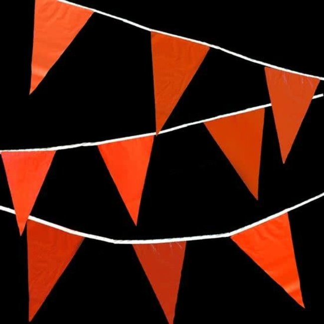 PartyXplosion Vlaggenlijn - Oranje - 10m