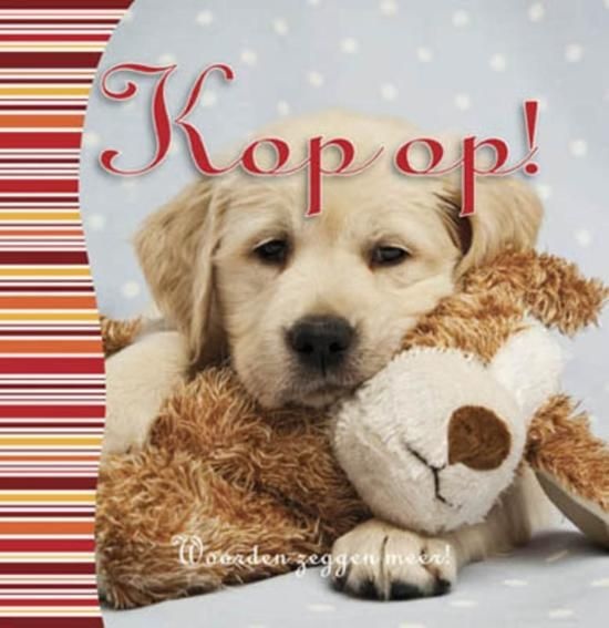 Boek - Kop op - Woorden zeggen meer! - Met opnamefunctie