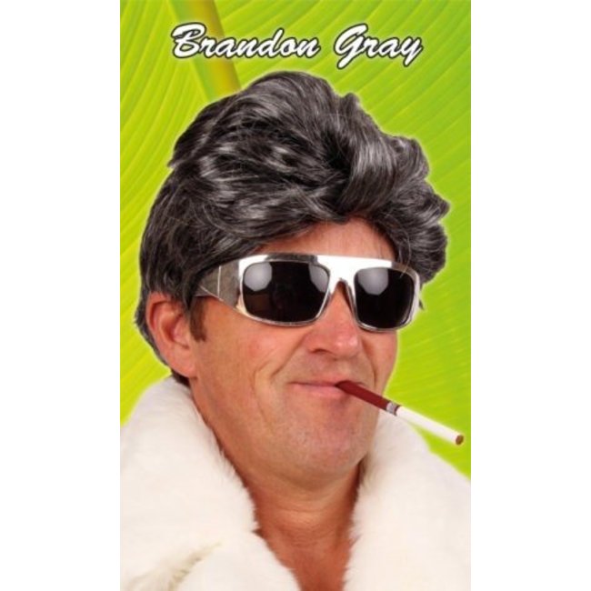 PartyXplosion Pruik - Grijs - Brandon