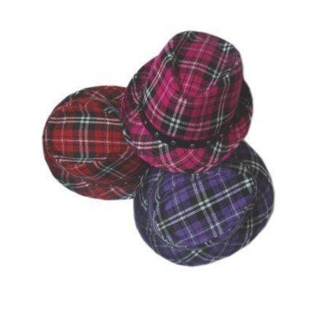 PartyXplosion Hoed - Roze - Deukhoed - Schotse ruit