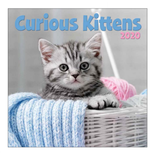 Comello Comello - Maandkalender - Curious kittens - 2020 Comello Comello - Maandkalender - Curious kittens - 2020