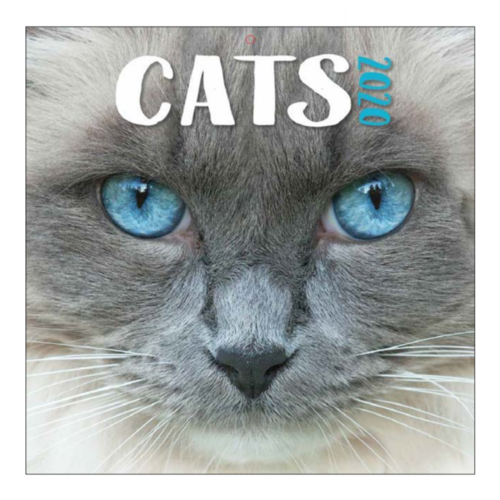 Comello Comello - Maandkalender - Cats - 2020 Comello Comello - Maandkalender - Cats - 2020