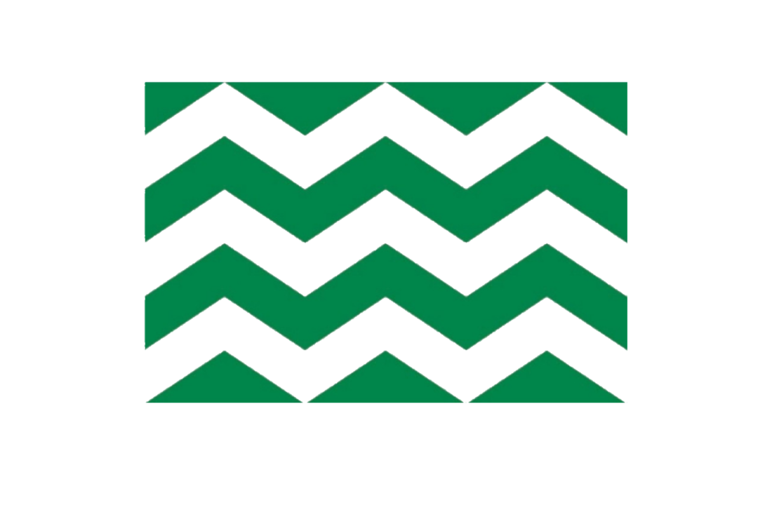 Vlag - Westland - 20x30cm