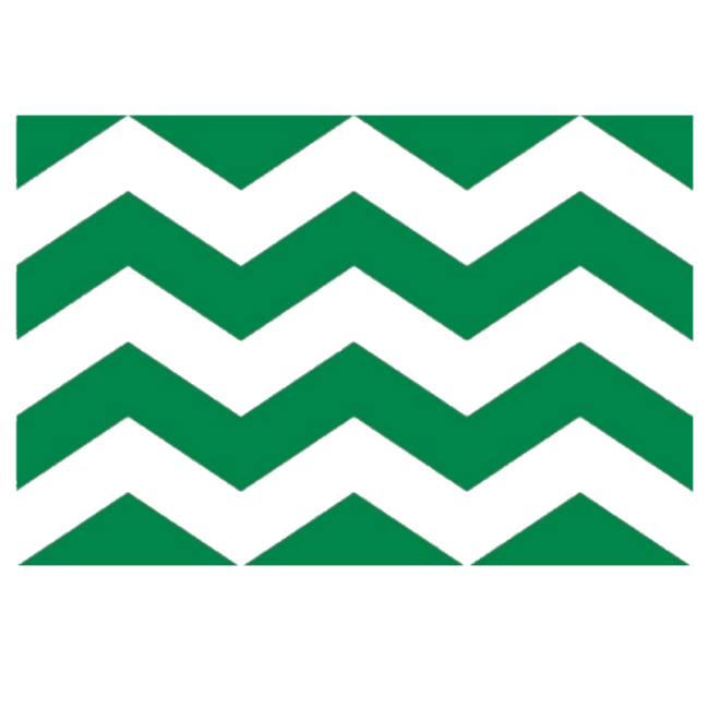 VC Vlag - Westland - Rechthoekig - 20x30cm