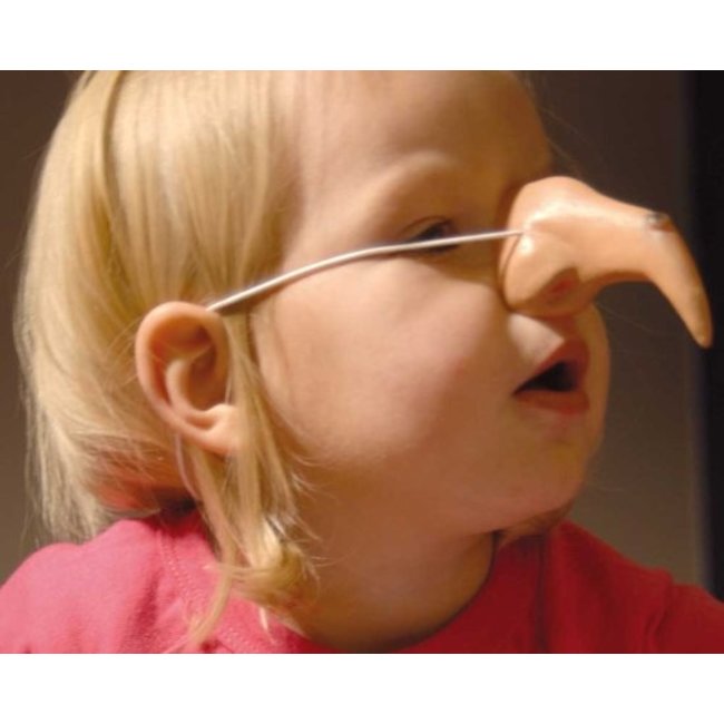 Folat Neus - Heks - Met elastiek