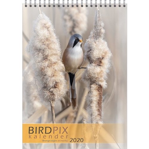 Comello Comello - Maandkalender - Birdpix - 2020 Comello Comello - Maandkalender - Birdpix - 2020
