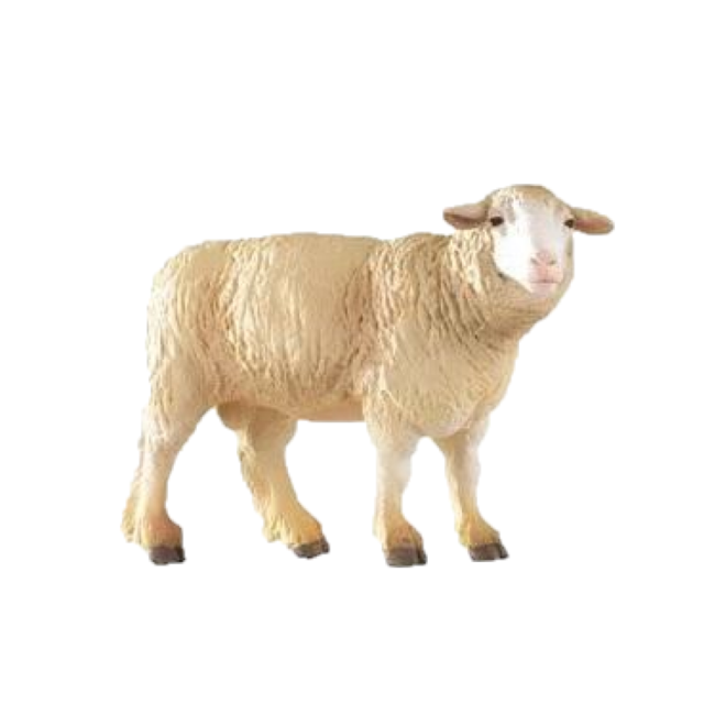 Papo Speelfiguur - Boerderijdier - Schaap - Merino