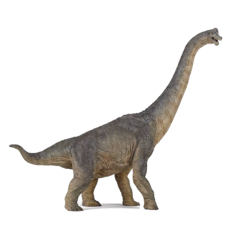 Papo Speelfiguur - Dinosaurus - Brachiosaurus